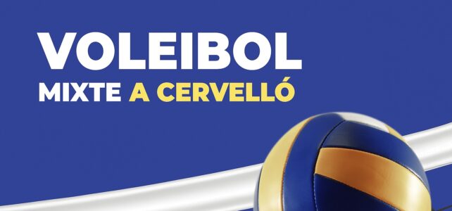 VOLEIBOL VOLEIBOL
